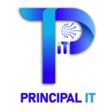Principal IT Consultants main logo.