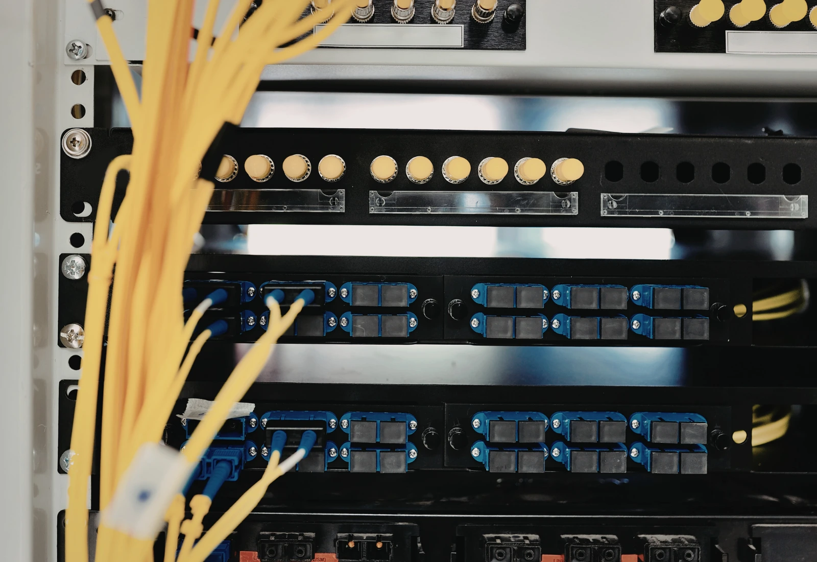 Principal IT, IT infrastructure build-out services.
