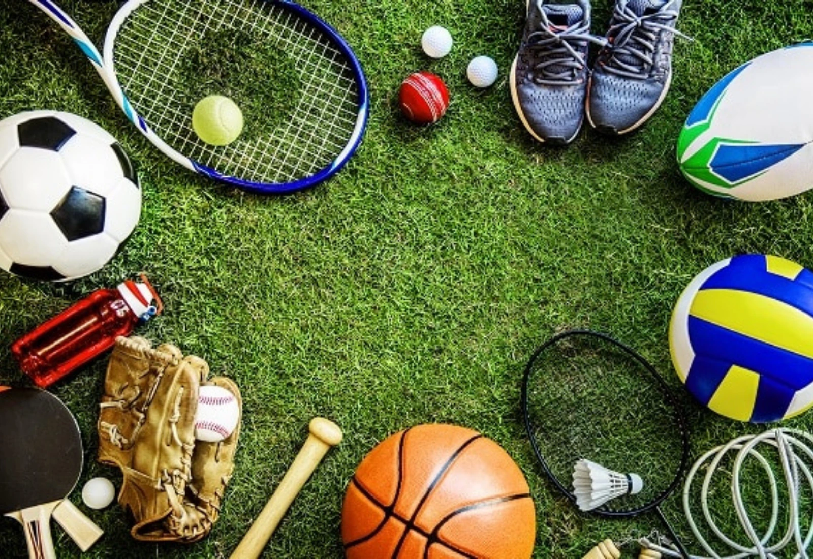 Principal IT Consultants serve sports and athletic organization.